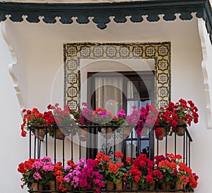 Flowers on Balcony