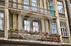 Flowers on balcony