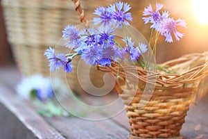 flowers in the bascet