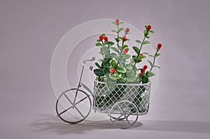 Flowers in a basket of a toy bike on a gray background.