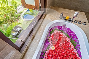 Flowers in Bathtub next to window