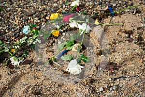 Flowers on the beach sand. Religious tribute