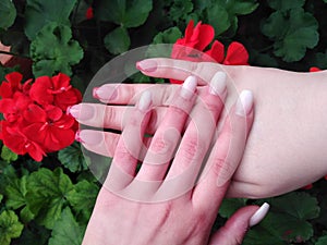 Flowers and beautiful nails