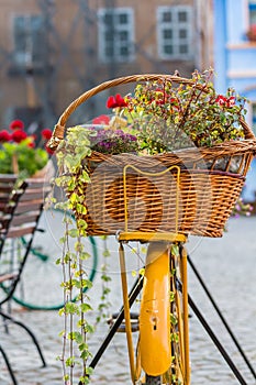 Flowers and Bicycle Decoration