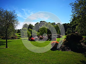 Flowers in Bitts park, Carlisle, Cumbria