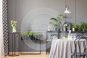 Flowers on black table next to plants in grey dining room interior with chairs and lamp. Real photo