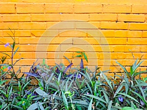 Flowers blends with painted brick wall