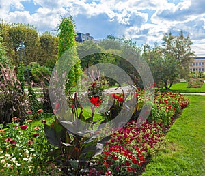 Flowers bloom in Jardin des Plantes photo