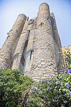 Hammond castle photo