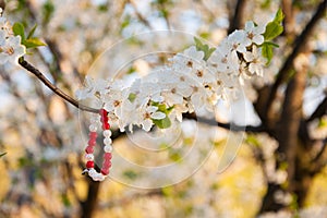 Flowers of blooming tree