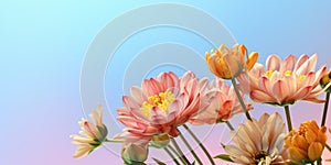 Flowers blooming under blue sky, creating a beautiful natural landscape. Copy space