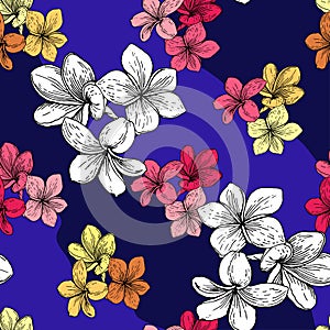 Flowers on a blue background