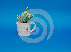 Flowers on blue background