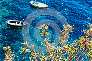 Flowers and Blue Water - Italy photo