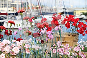 Flowers and boats: floral exhibition as part of Yacht and Garden 2022. photo