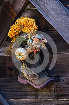 Flores en zapato 