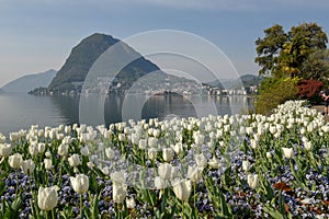 Flowers of the botanical garden, lake of Lugano and mount San Salvatore in Switzerland