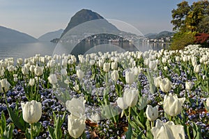 Flowers of the botanical garden, lake of Lugano and mount San Salvatore in Switzerland