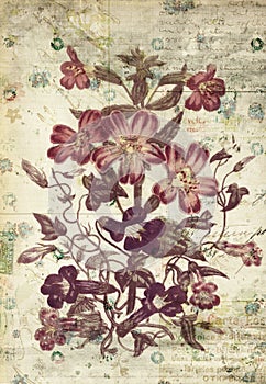 Flowers Botanical Vintage Style Wall Art with Textured Background