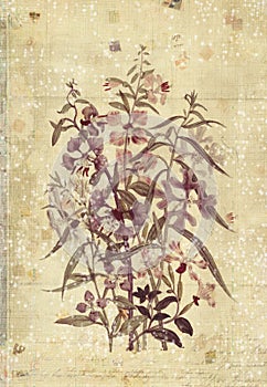 Flowers Botanical Vintage Style Wall Art with Textured Background