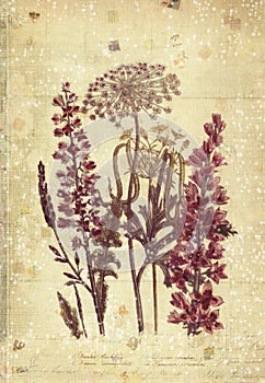 Flowers Botanical Vintage Style Wall Art with Textured Background photo