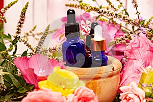 Flowers and bottles of essential oils for aromatherapy