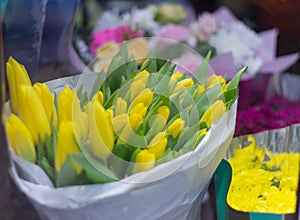 flowers, bouquet of beautiful yellow tulips