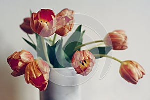 flowers bouquet close-up light tulips white background vase