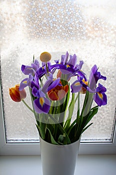 Flowers bouquet with irises and tulips in white glass vase