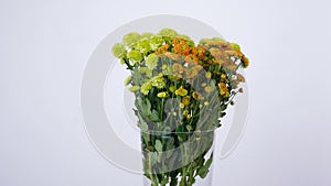 Flowers, bouquet, rotation on white background, floral composition consists of green and orange Santini