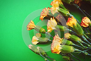 Flowers bouquet of yellow red carnations on a green background