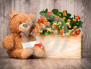 Flowers in the box and a teddy bear