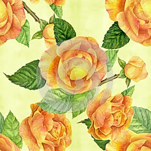 Flowers A branch of roses with leaves, flowers and buds. Watercolor. Seamless background.