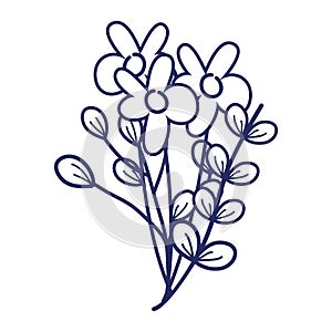 Flowers branches leaves decoration cartoon isolated icon design line style