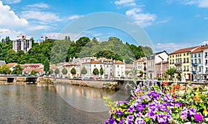 Flowers on a bridge across the Moselle River in Epinal, France