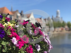 Flowers on a bridge over the canal Klein Diep