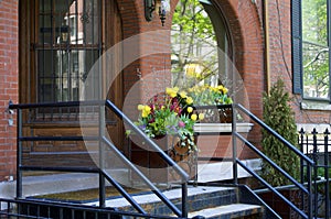 Flowers on Brownstone Stoop  805693