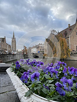 Flowers in Bruges photo