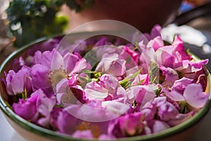 Fiori un mini cuffie da tè primavera 