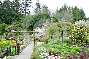 Flowers in the Butchart Gardens. Victoria BC.