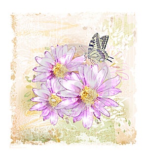 Květiny a motýl 