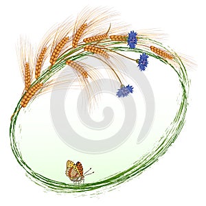 Flowers, butterfly and ears of wheat