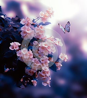 Flowers with a butterfly wandering among nature pink and blue tones color art