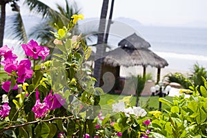 Flowers cabana