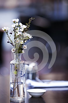 Flowers on Cafe Table