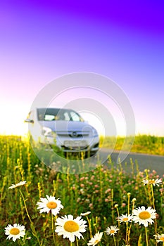 Flowers and a car.