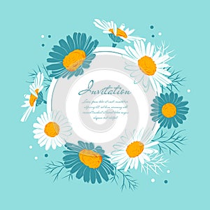 Flowers card Chamomile background Daisy wreath. Blooming daisies on a gentle turquoise background. Elegant floral card