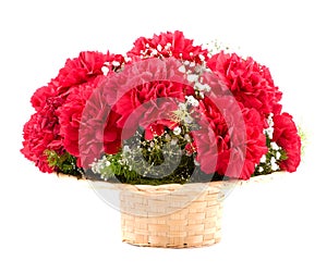 Flowers of carnations