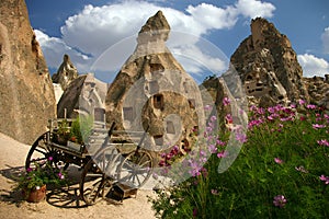 Flowers and carriage in Kapadokya