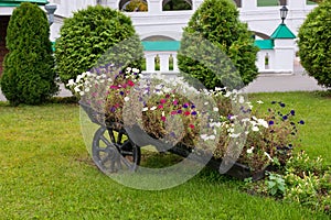 Flowers on a cart